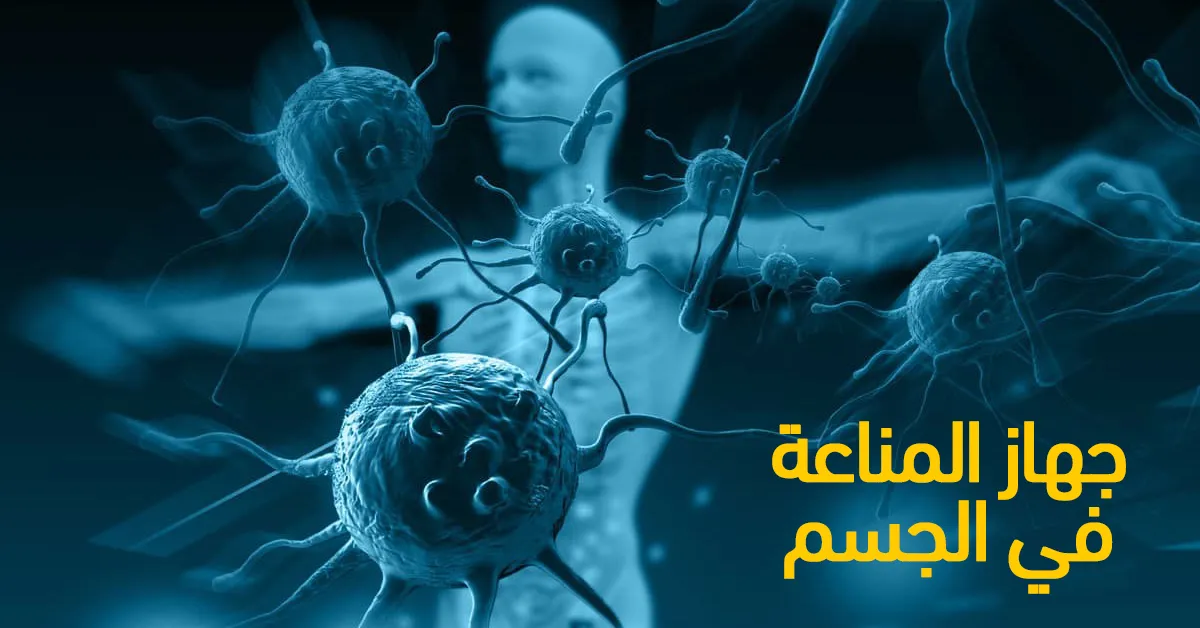 الجهاز المناعي: أهميته وكيفية المحافظة عليه